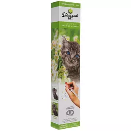 Kitten Diamond Art Intermediate Kit