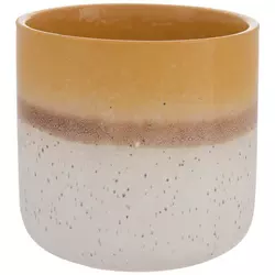 Flower Pots & Containers