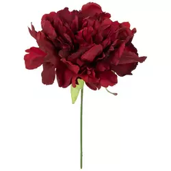 Floral Picks