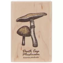 Rubber Stamps