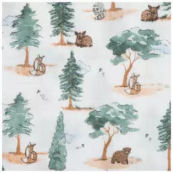 Gauze Fabric