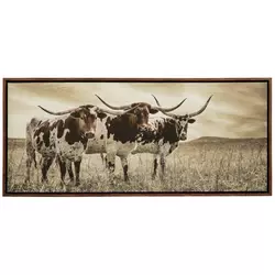 Western Decor