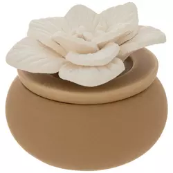 Diffusers & Oils