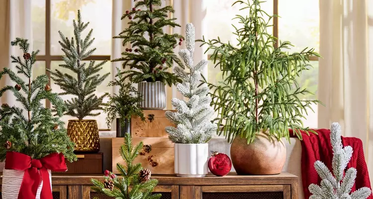 Tabletop Christmas Trees