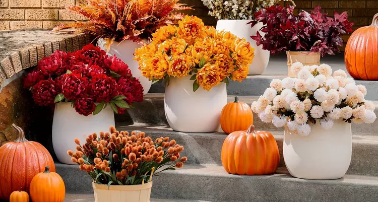 Fall Bushes & Greenery