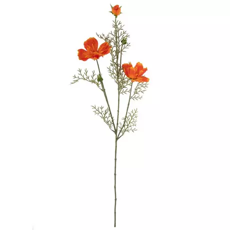 Floral Stems