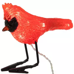 Specialty & Novelty Lights