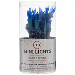 Mini Christmas Lights