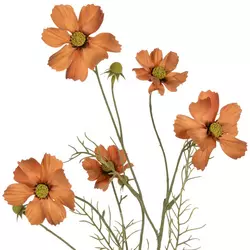 Fall Dried Flowers