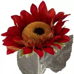 Fall Flower Stems
