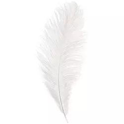 Feathers