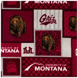 Collegiate Team Fabric