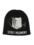 Attack On Titan Scout Regiment Beanie, , alternate
