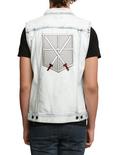 Attack On Titan Cadet Corps Back Patch, , alternate