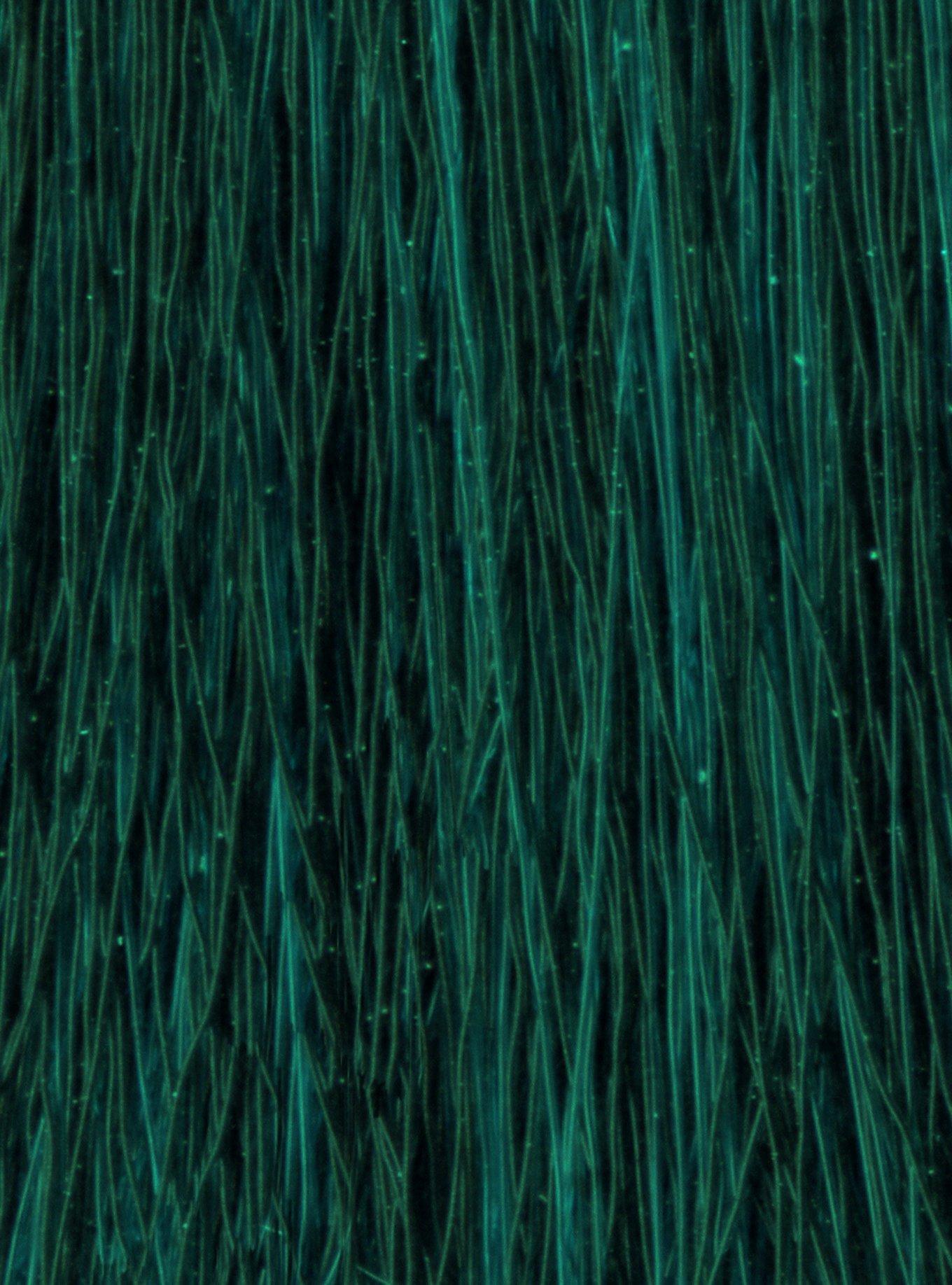 Manic Panic Semi-Permanent Enchanted Forest Hair Dye, , alternate