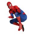 Marvel Spider-Man Costume, , alternate