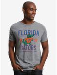 NCAA Florida Gators Distressed Classic Logo T-Shirt, , alternate