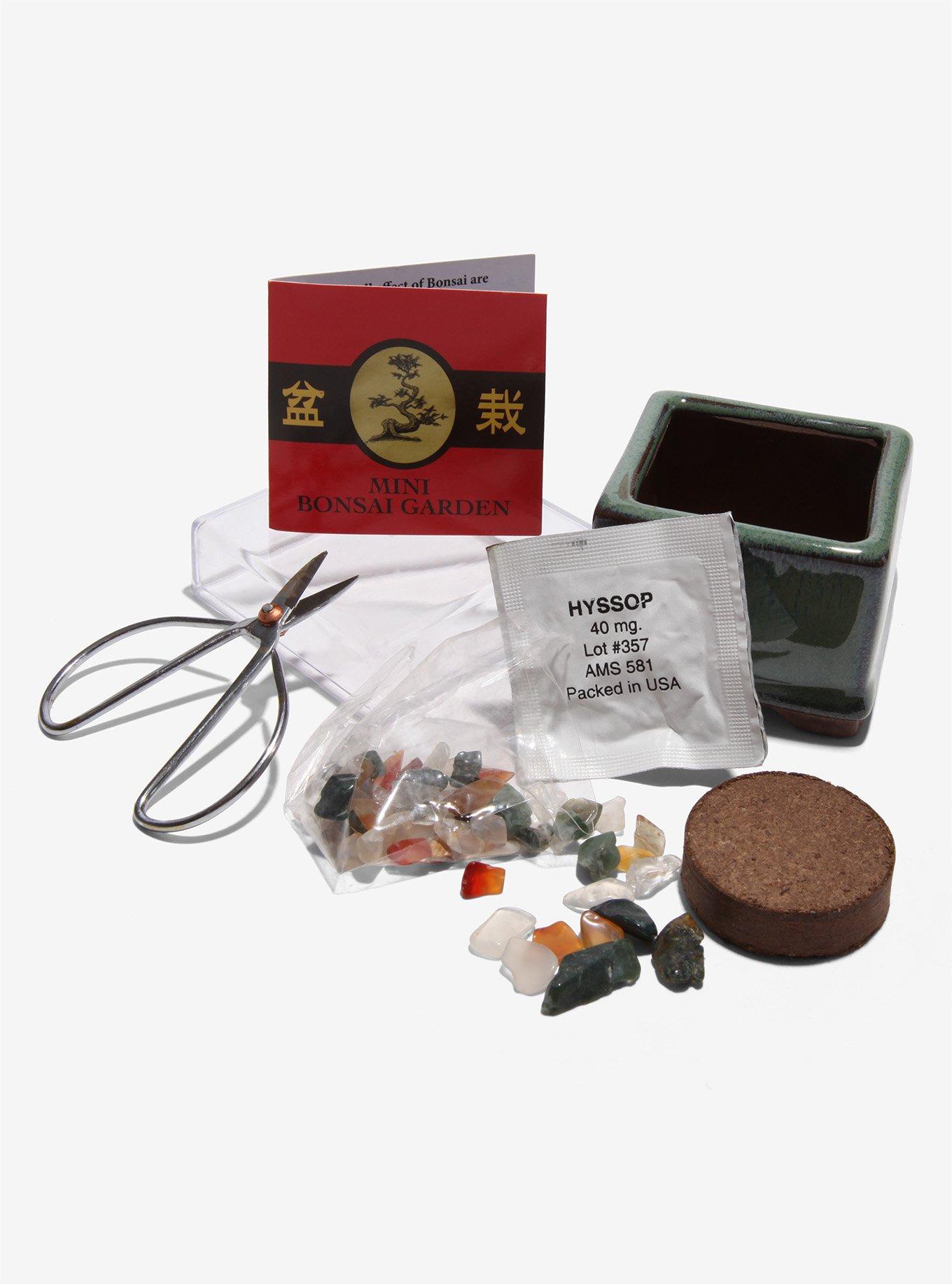 Mini Bonsai Garden, , alternate