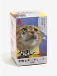 Sushi Cat Blind Box Figure, , alternate