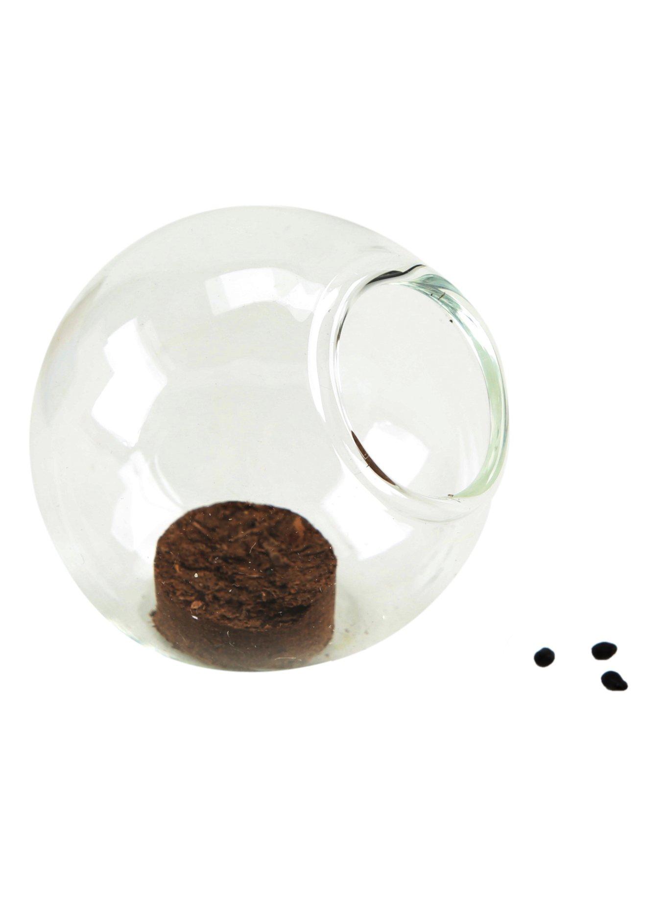 Golden Barrel Cactus Tiny Terrarium, , alternate - view 2