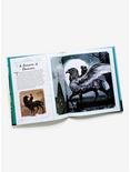 Harry Potter Incredibuilds Buckbeak Book And Model Set, , alternate