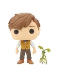 Funko Fantastic Beasts And Where To Find Them Pop! Newt Scamander & Picket Vinyl Figure Hot Topic Exclusive, , alternate