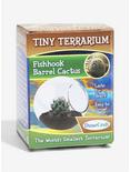 Fishhook Barrel Cactus Tiny Terrarium, , alternate