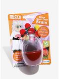 Grow Your Own Brain Micro Terrarium, , alternate