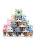 Kitan Club Scottish Fold Cat Tissues Blind Box Figure, , alternate