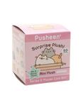 Pusheen Places Cats Sit Surprise Plush Blind Box, , alternate