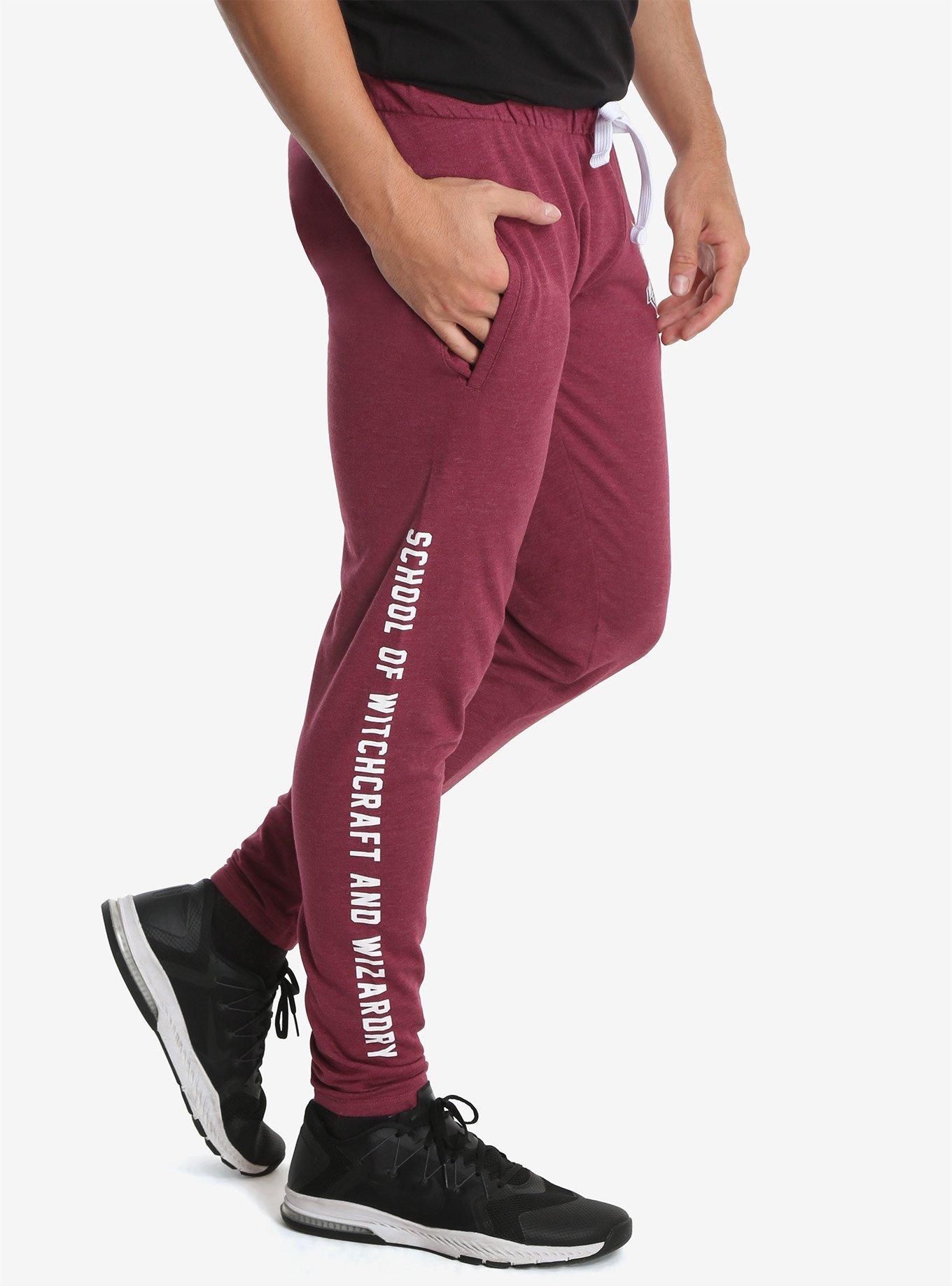 Harry Potter Hogwarts Crest Jogger Pants, , alternate