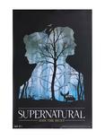 Supernatural Mystery Poster 2 Pack, , alternate