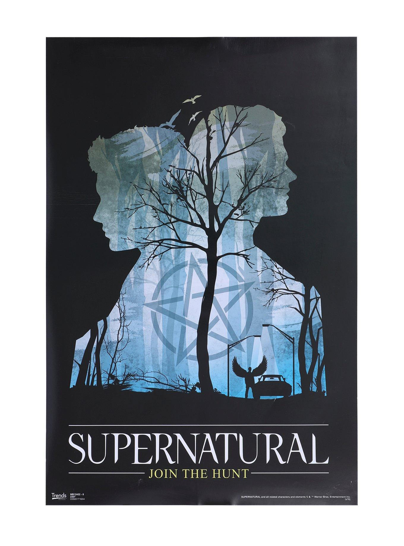 Supernatural Mystery Poster 2 Pack, , alternate