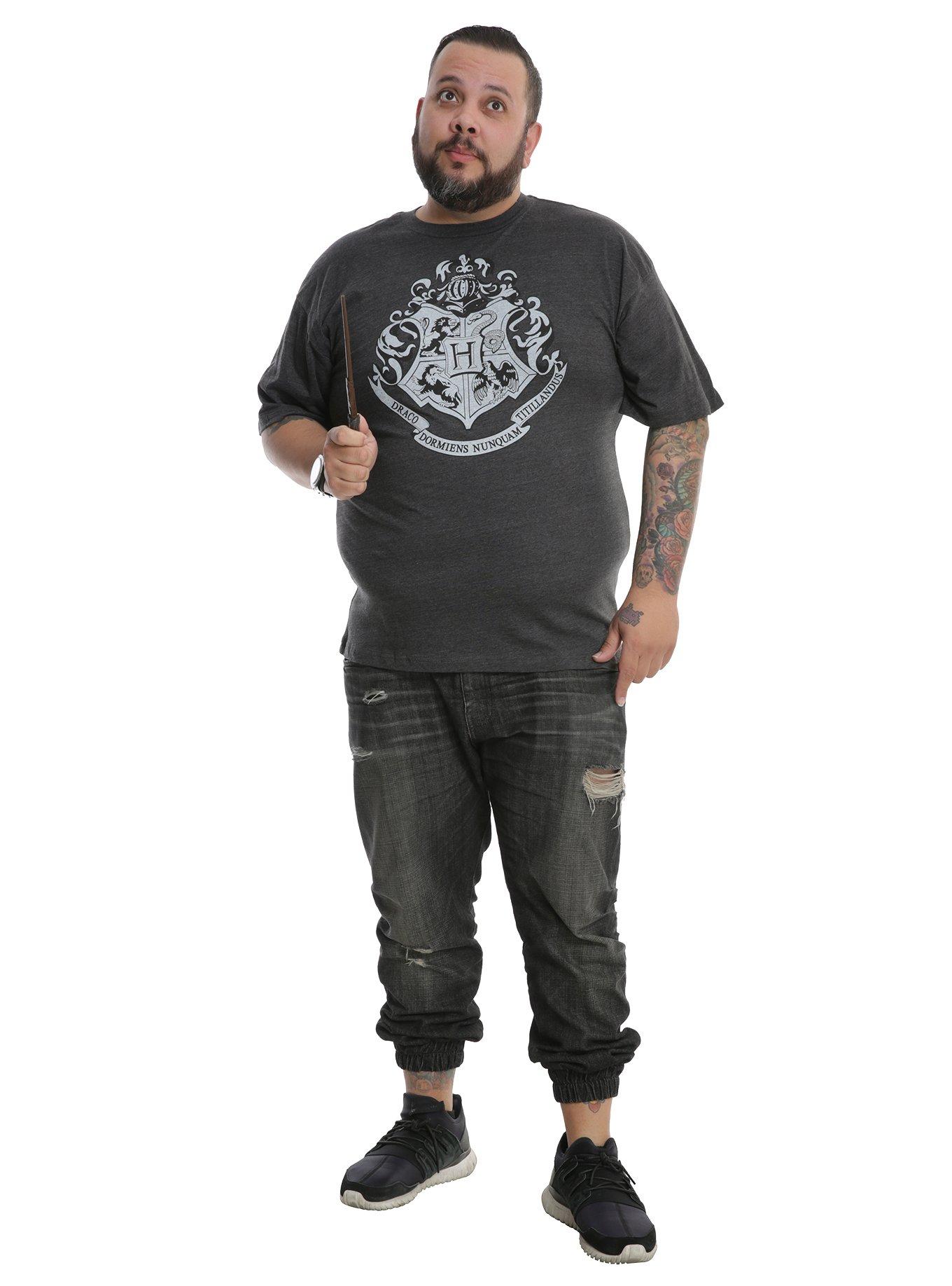 Harry Potter Hogwarts Crest T-Shirt Big & Tall, , alternate