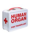 Human Organs Metal Lunchbox, , alternate
