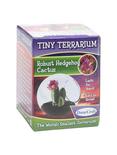 Robust Hedgehog Cactus Tiny Terrarium, , alternate