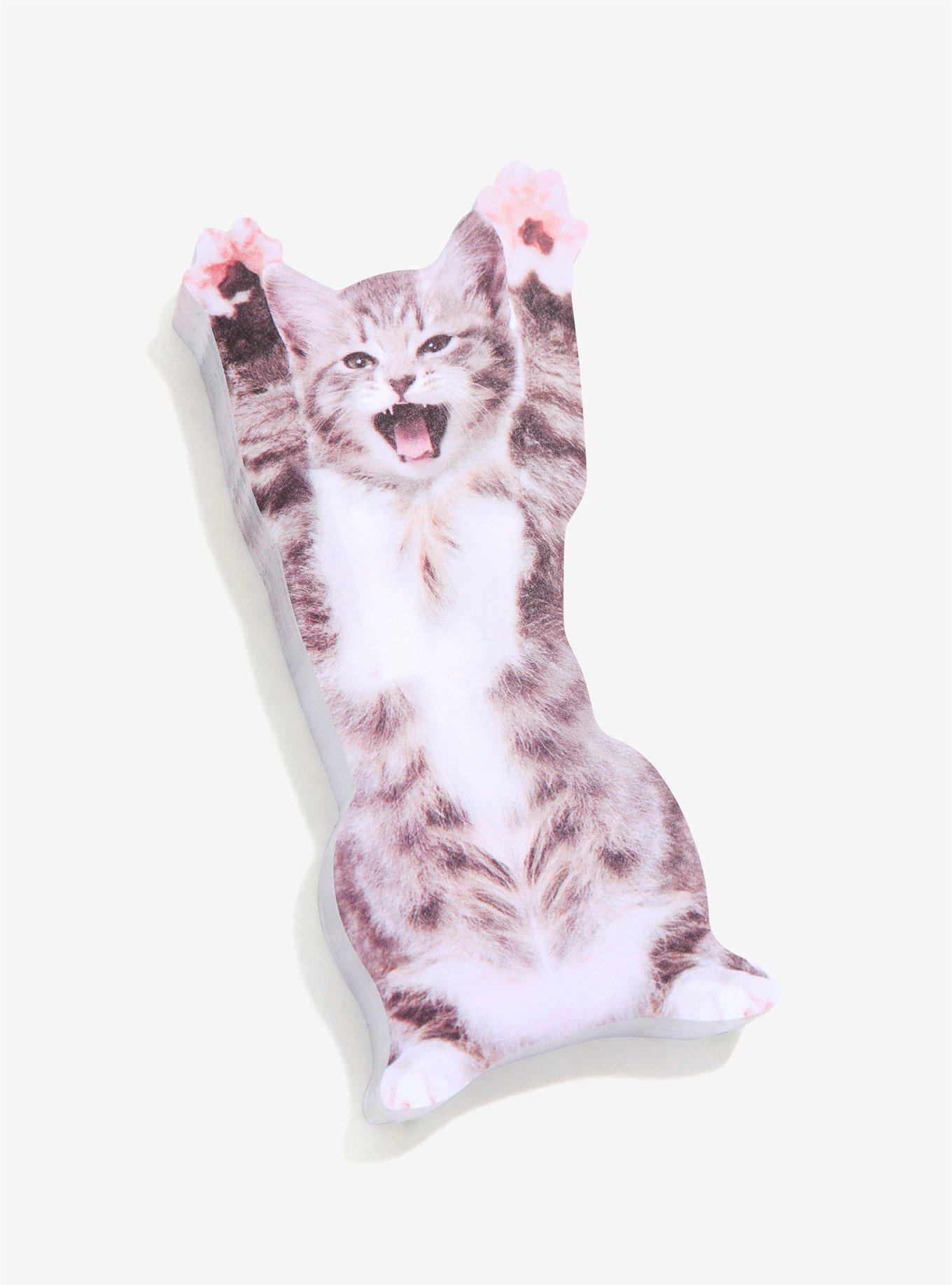 Cat In A Box Memo Tabs, , alternate