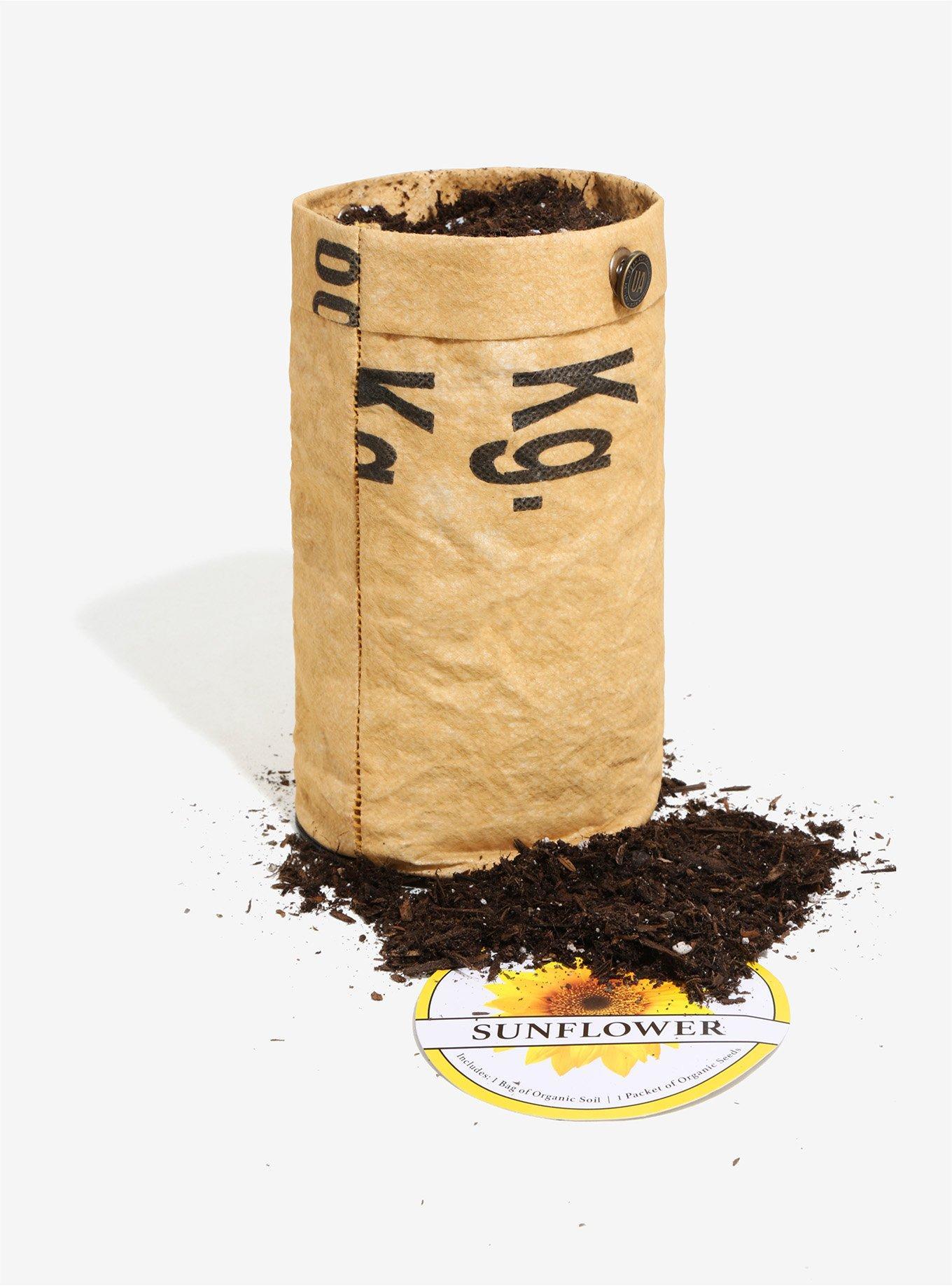 Urban Agriculture Sunflower Grow Kit, , alternate