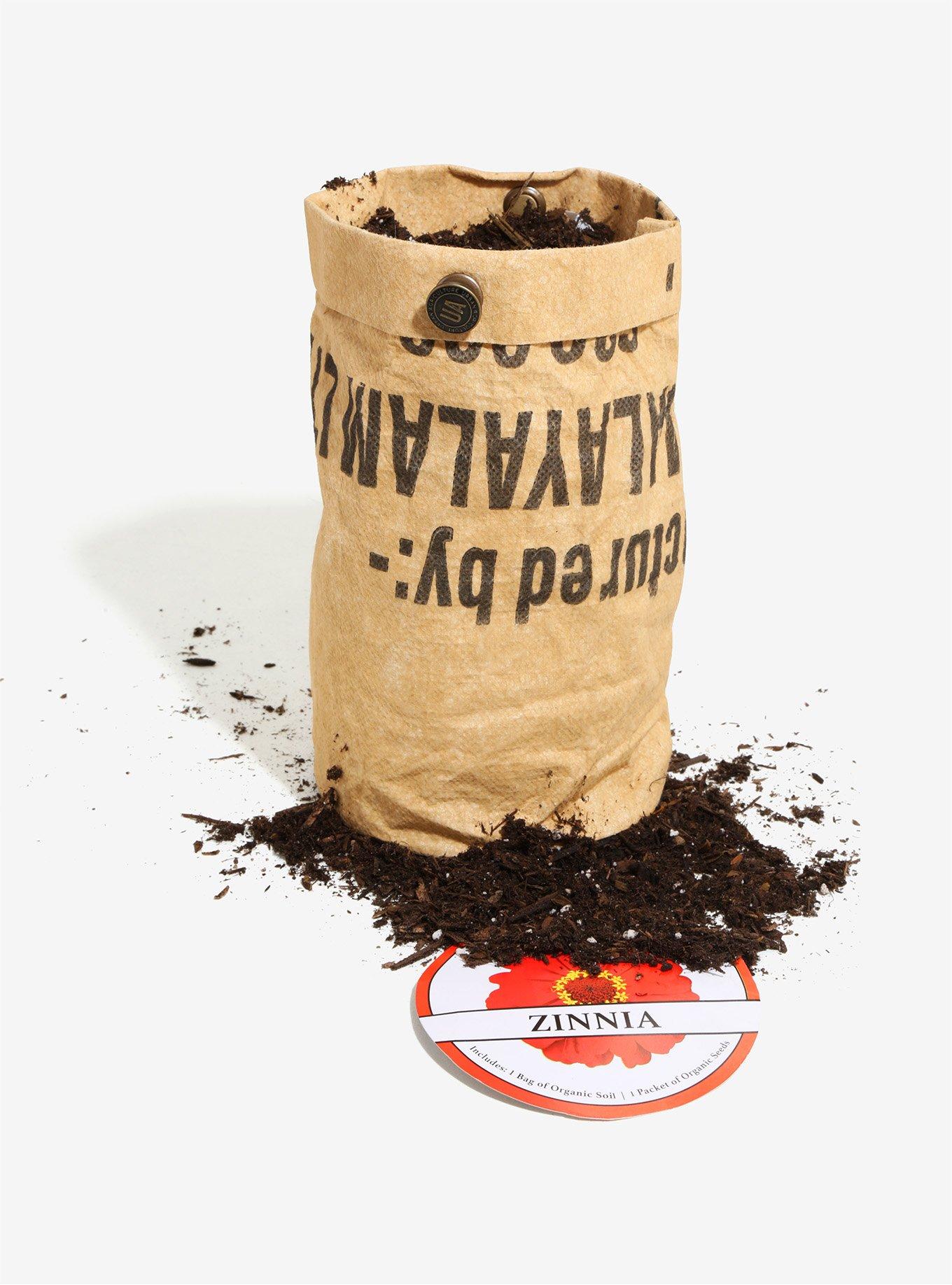 Urban Agriculture Zinnia Grow Kit, , alternate