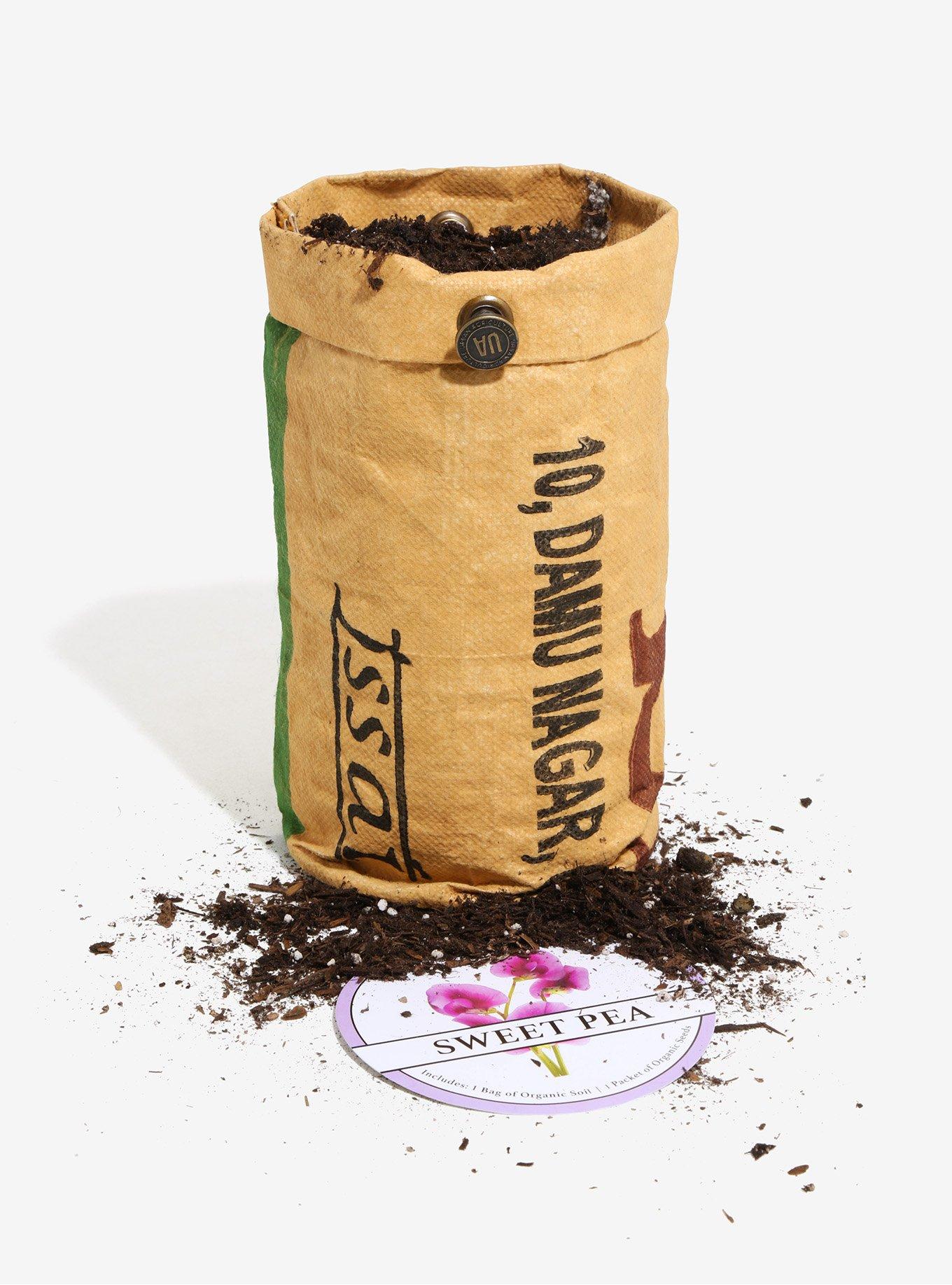 Urban Agriculture Sweet Pea Grow Kit, , alternate