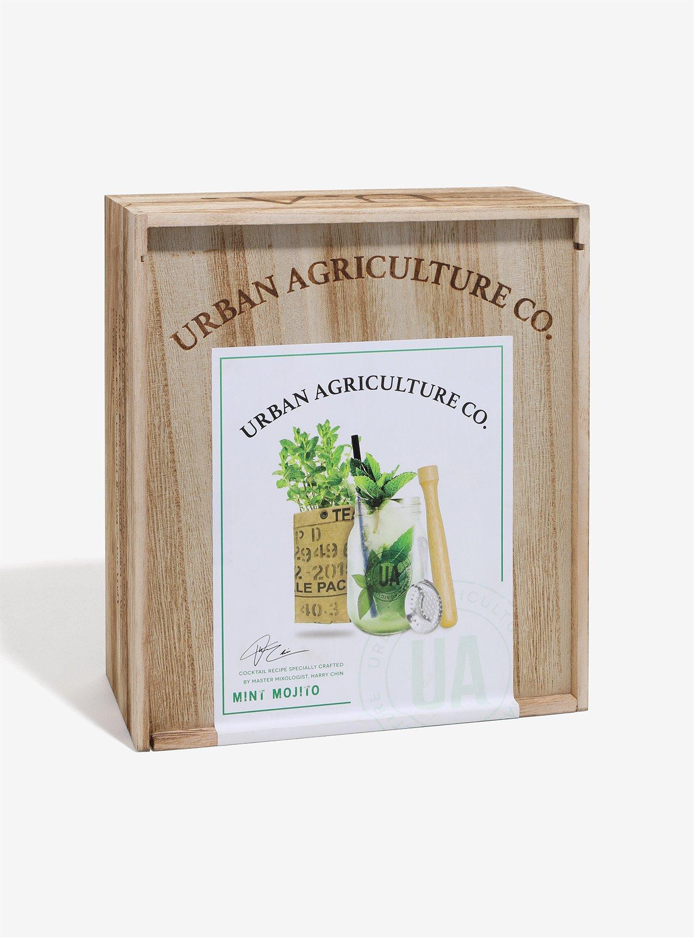 Urban Agriculture Mint Mojito Cocktail Kit, , alternate