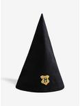 Harry Potter Hogwarts Student Hat, , alternate