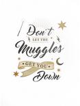 Harry Potter Don't Let The Muggles Get You Down Wall Decal, , alternate