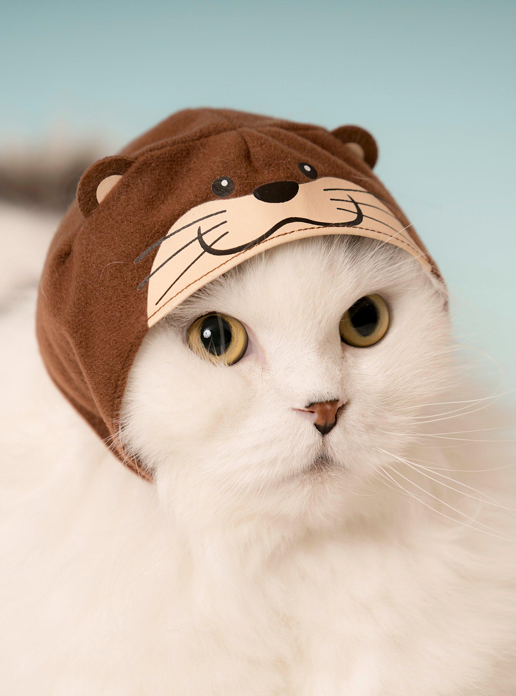 Cat Cap Blind Box, , alternate