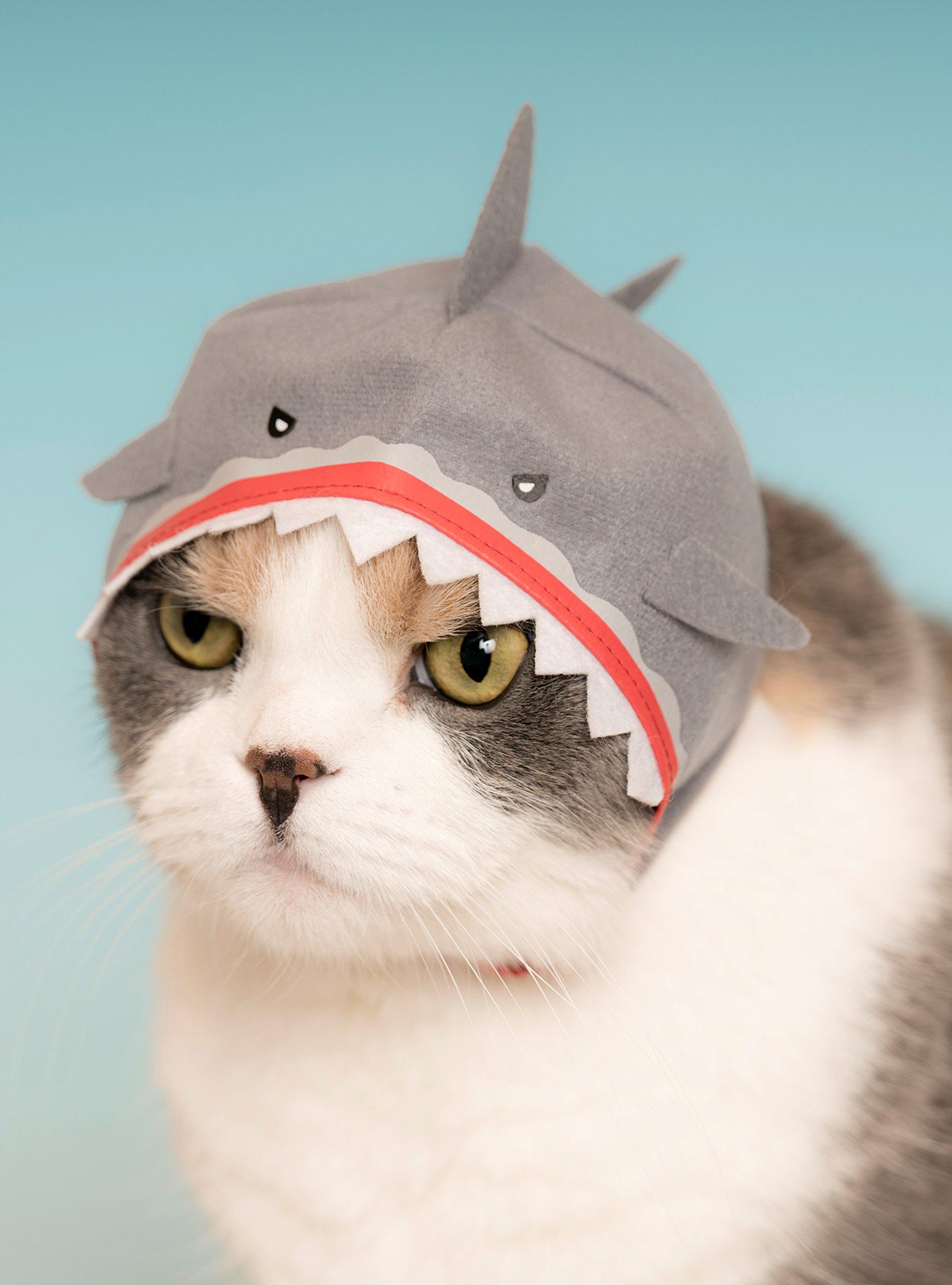 Cat Cap Blind Box, , alternate