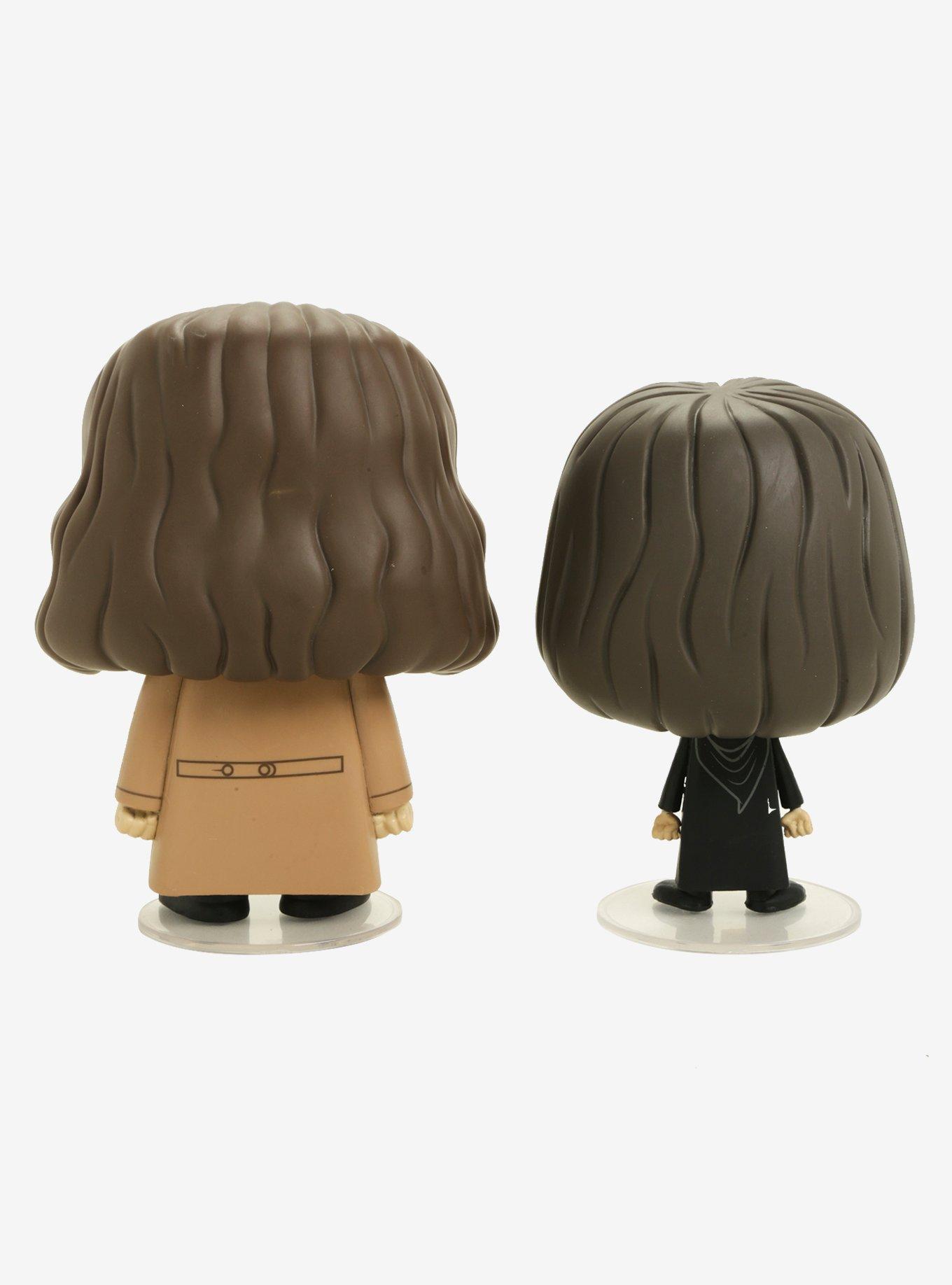 Funko Vynl. Harry Potter Hagrid & Harry Vinyl Figures, , alternate