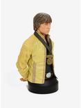 Star Wars Luke Skywalker (Hero Of Yavin) Collectible Mini Bust, , alternate