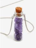 Amethyst Pebble Bottle Necklace - BoxLunch Exclusive, , alternate