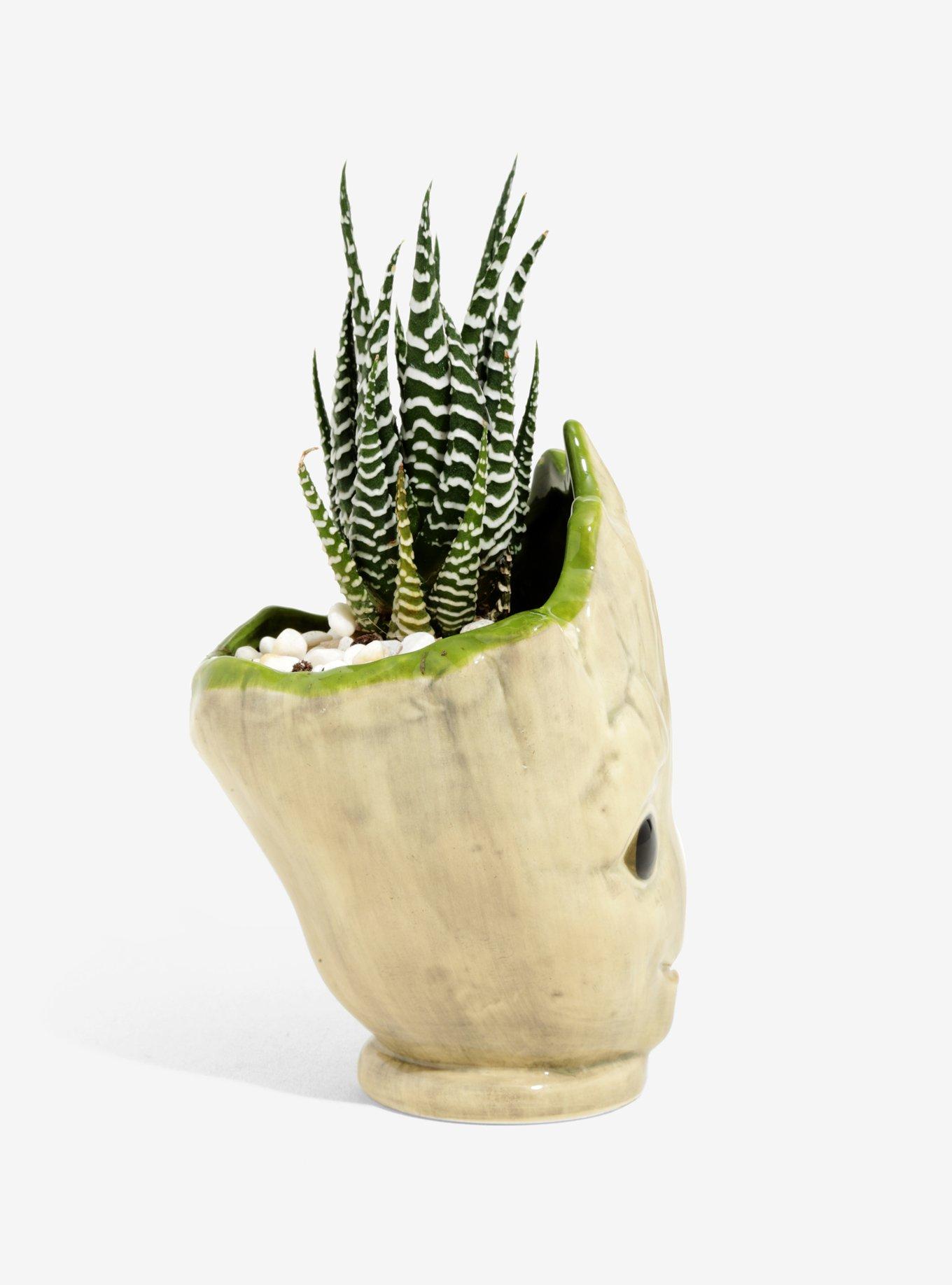 Marvel Guardians Of The Galaxy Groot Desktop Planter, , alternate