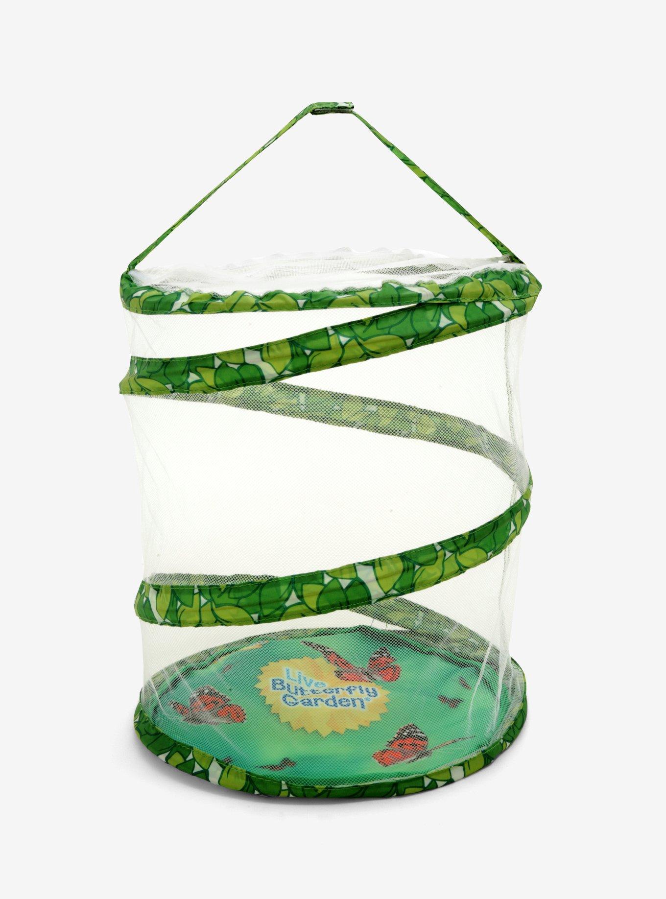 Insect Lore Butterfly Garden, , alternate